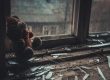 teddy bear in a dismal scene