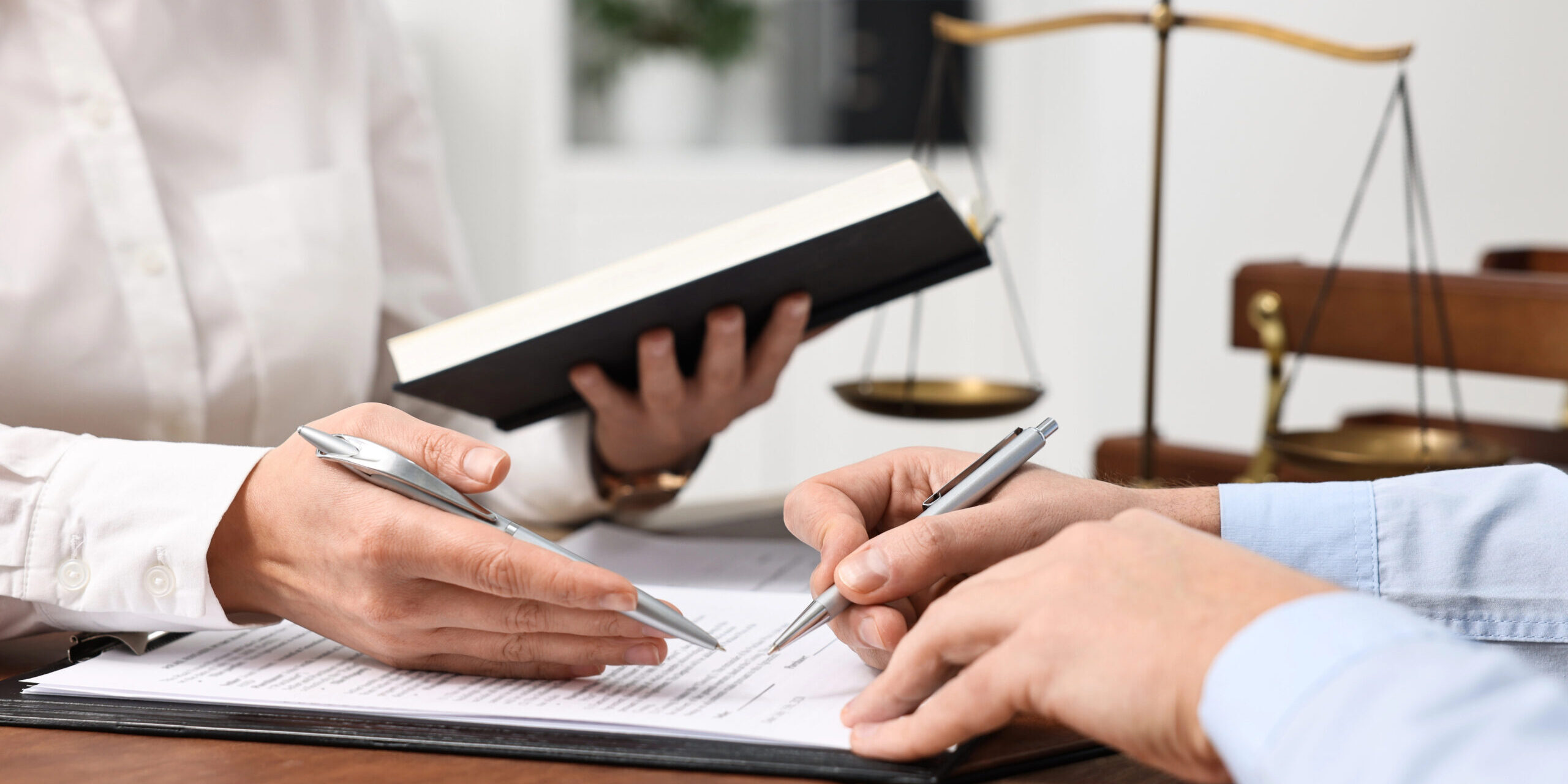 Expert and Lawyer working on a document